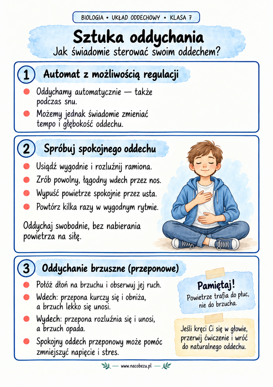 Biologia klasa 7 układ oddechowy